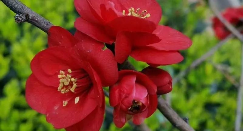 初中重要性家庭教育學(xué)生怎么寫_初中學(xué)生家庭教育的重要性_初中孩子的家庭教育重點