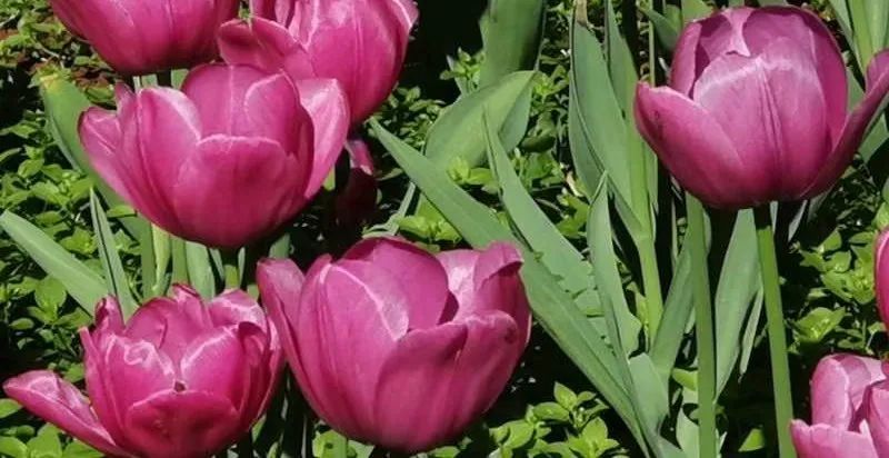 初中重要性家庭教育學(xué)生怎么寫_初中孩子的家庭教育重點_初中學(xué)生家庭教育的重要性