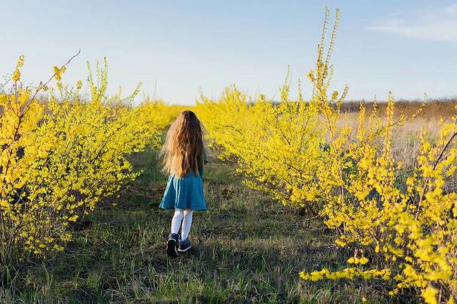 錯誤家庭教育理念名言_錯誤家庭教育理念有幾種_錯誤的家庭教育